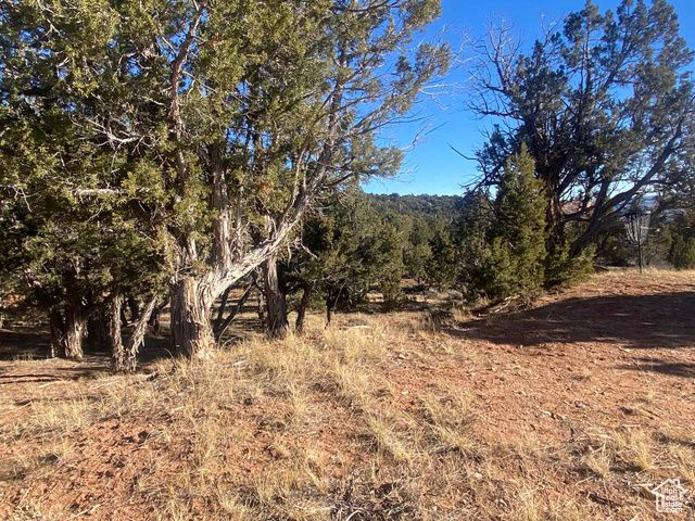 45450 W CEDAR ROCK RD, Fruitland, UT 84027