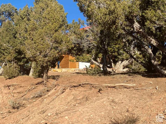 45450 W CEDAR ROCK RD, Fruitland, UT 84027