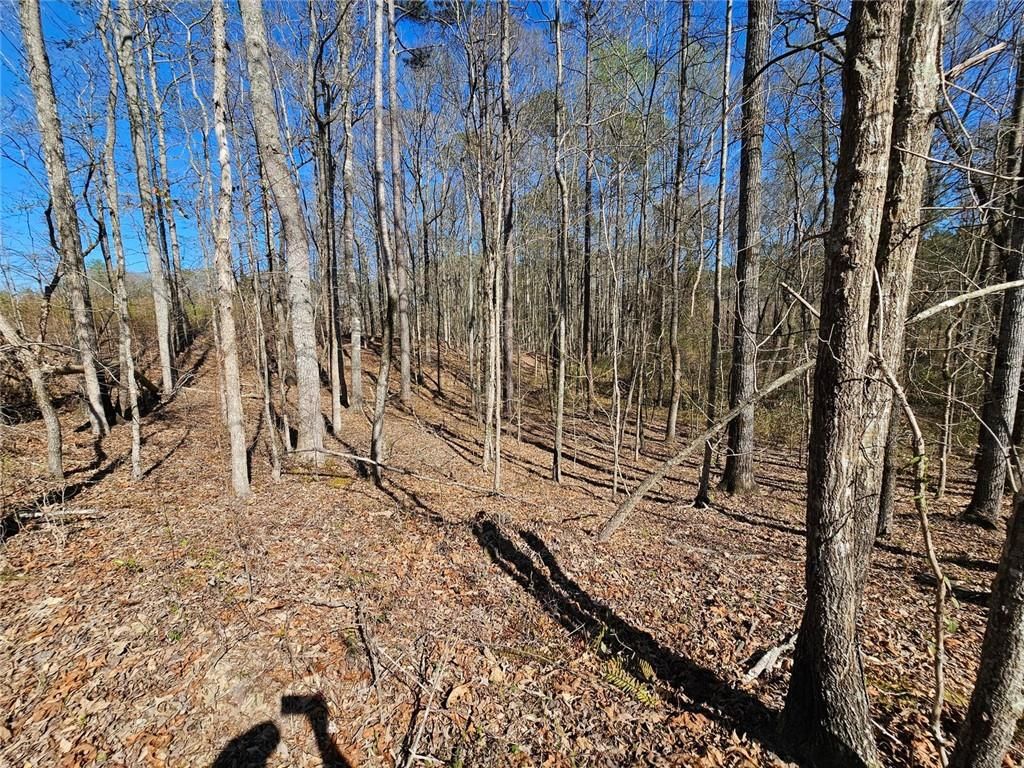 Image 10 of property listing at 0 Butler Road, Franklin, GA 30217