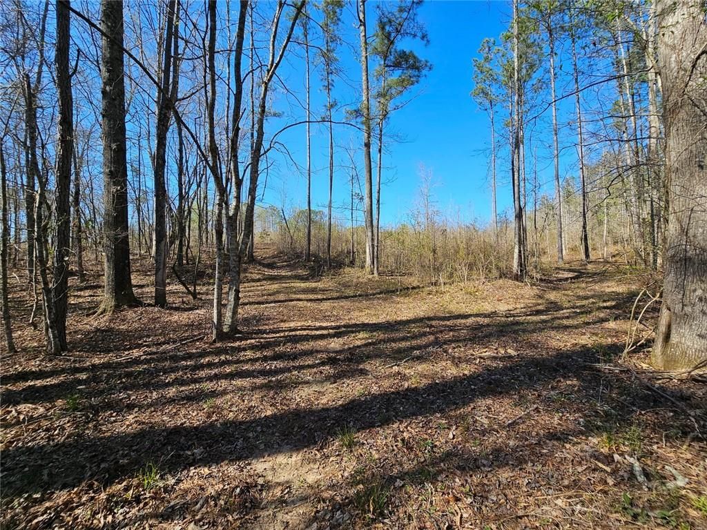 Image 11 of property listing at 0 Butler Road, Franklin, GA 30217