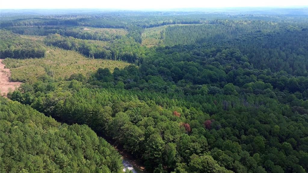 Image 13 of property listing at 0 Butler Road, Franklin, GA 30217