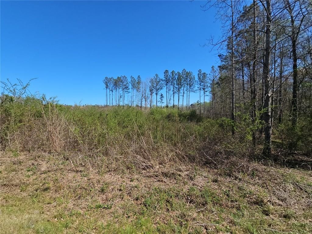 Image 15 of property listing at 0 Butler Road, Franklin, GA 30217