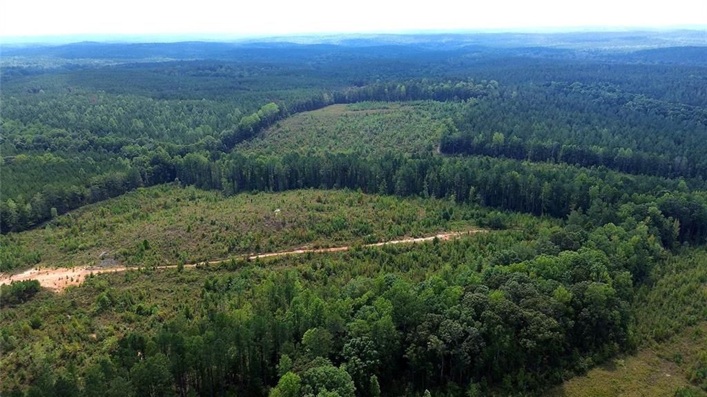 Image 17 of property listing at 0 Butler Road, Franklin, GA 30217