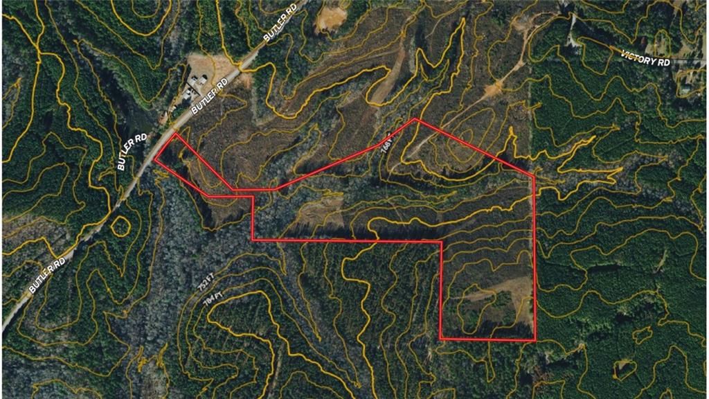 Image 18 of property listing at 0 Butler Road, Franklin, GA 30217