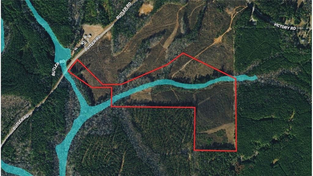 Image 19 of property listing at 0 Butler Road, Franklin, GA 30217