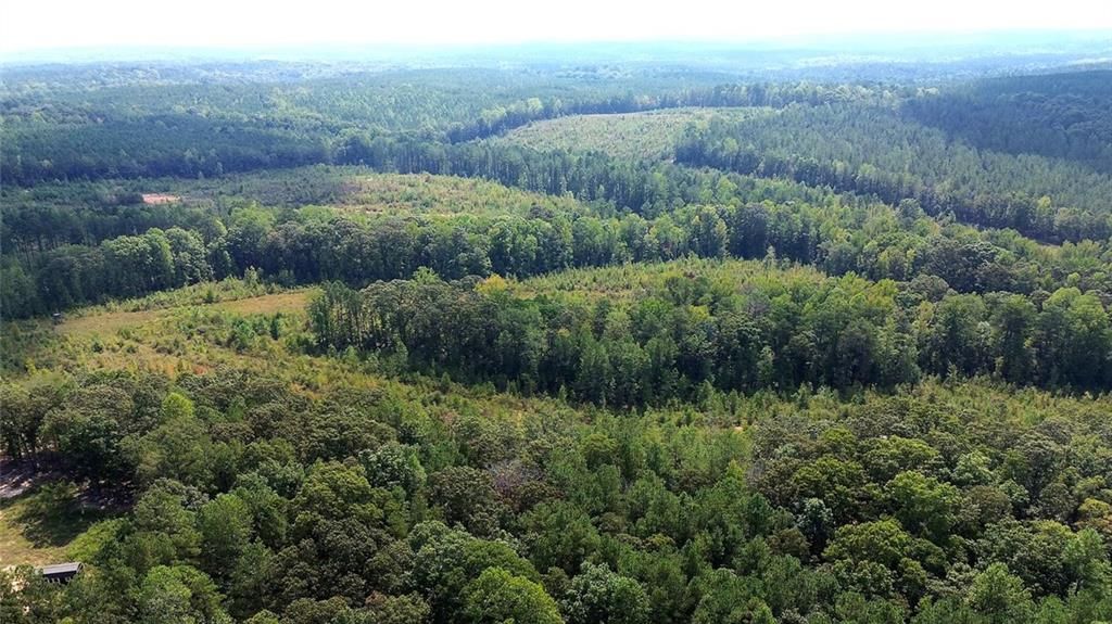 Image 2 of property listing at 0 Butler Road, Franklin, GA 30217