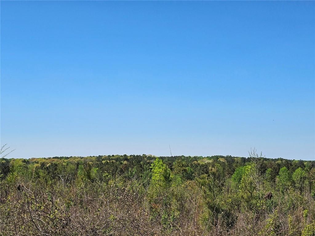 Image 4 of property listing at 0 Butler Road, Franklin, GA 30217