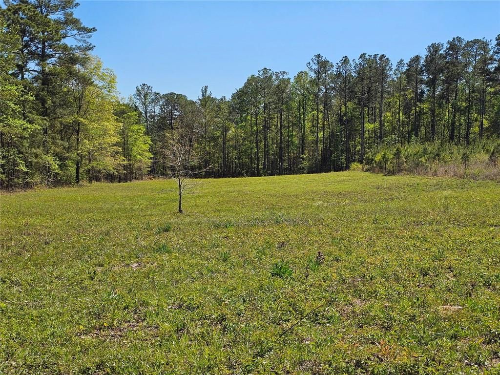 Image 5 of property listing at 0 Butler Road, Franklin, GA 30217