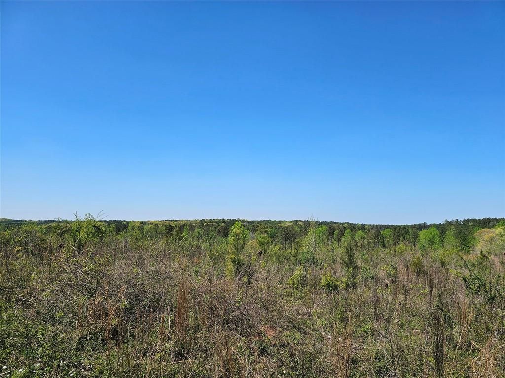 Image 6 of property listing at 0 Butler Road, Franklin, GA 30217