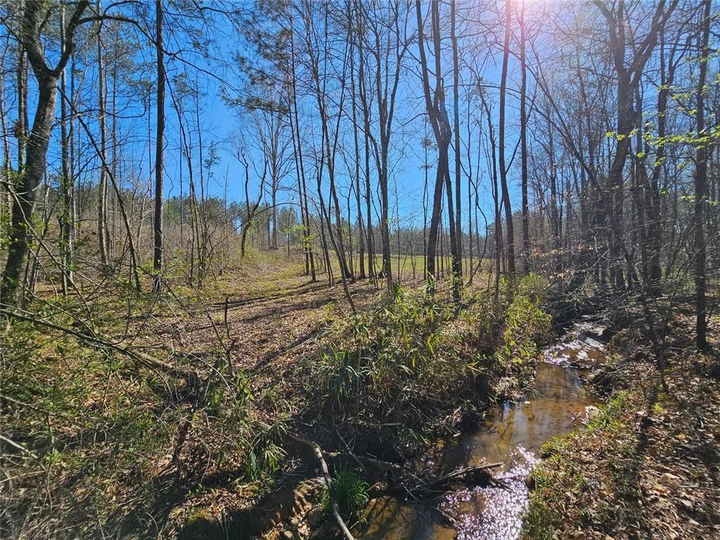 Image 7 of property listing at 0 Butler Road, Franklin, GA 30217
