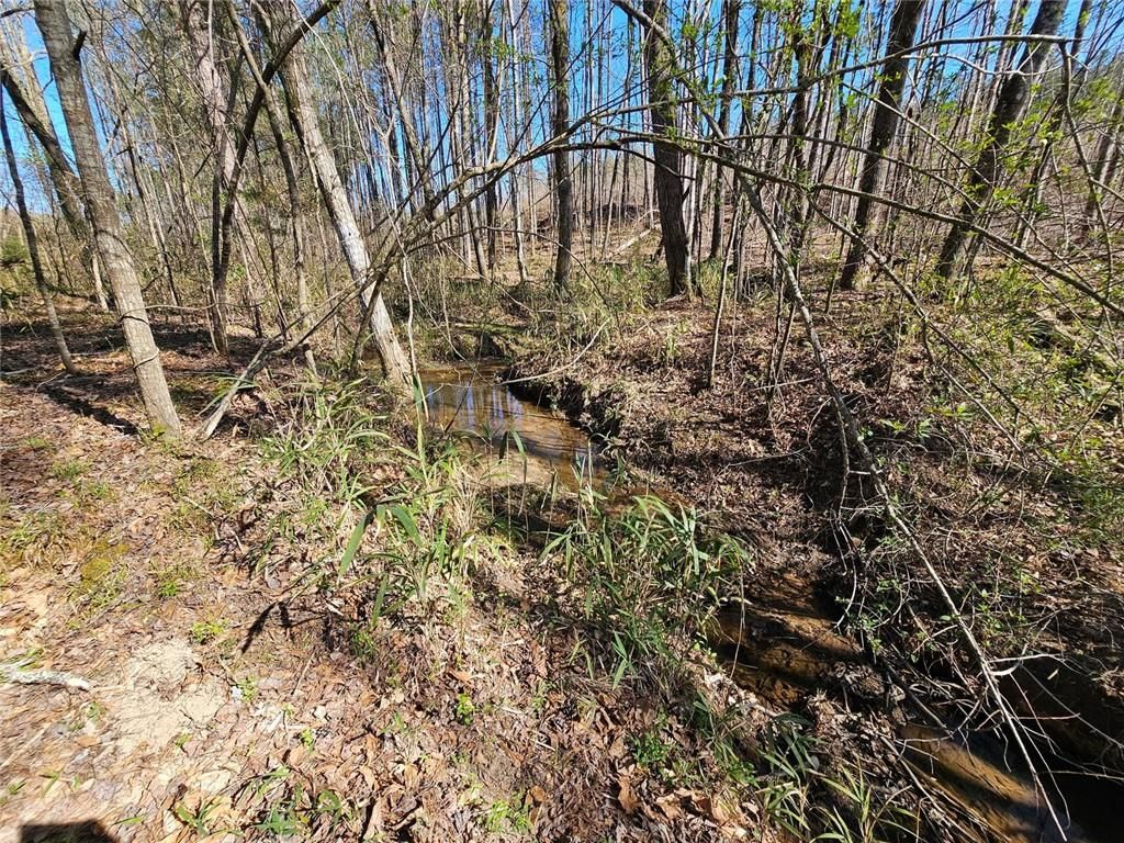 Image 8 of property listing at 0 Butler Road, Franklin, GA 30217