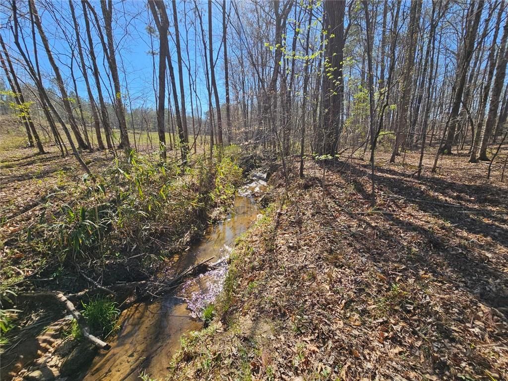 Image 9 of property listing at 0 Butler Road, Franklin, GA 30217