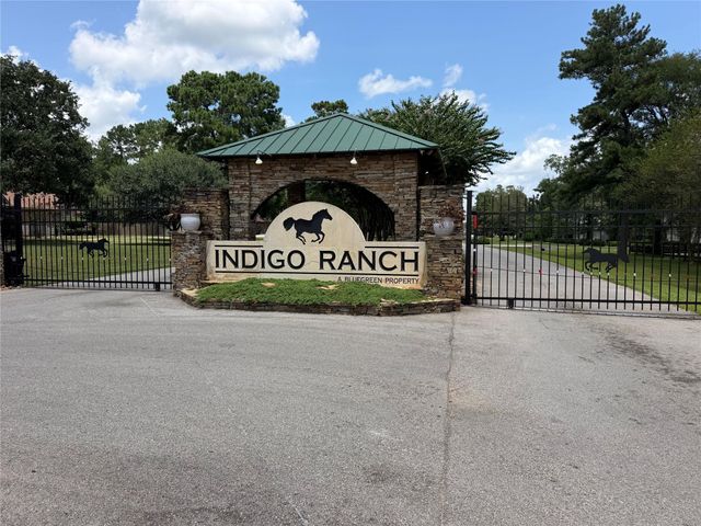 16711 Mustang Trail Drive, Magnolia, TX 77355