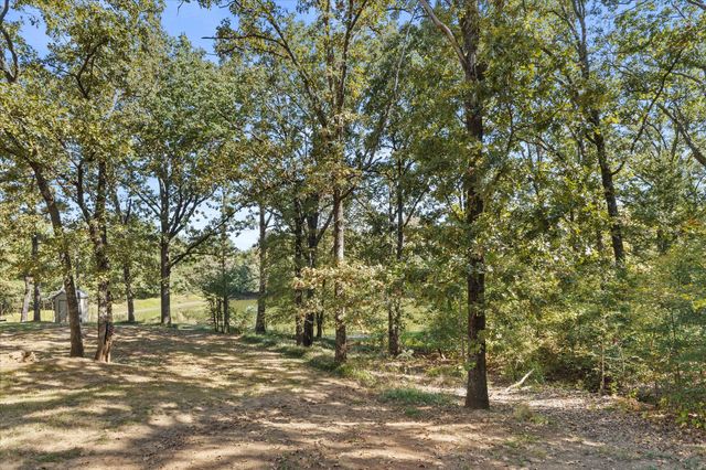 18539 Fm 17, Canton, TX 75103