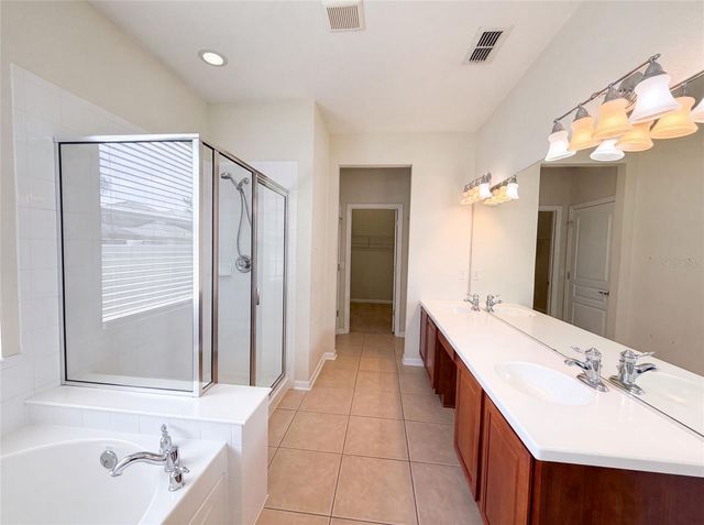 13228 ROSKIN LANE, Windermere, FL 34786