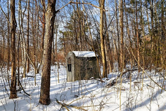 5368 Egner Street, Cedar Springs, MI 49319