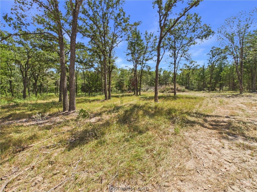 .57 Acres South Berry Ridge, Caldwell, TX 77836 — exterior
