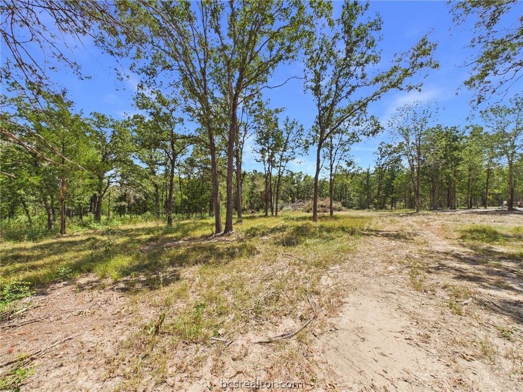 .57 Acres South Berry Ridge, Caldwell, TX 77836 — photo 2