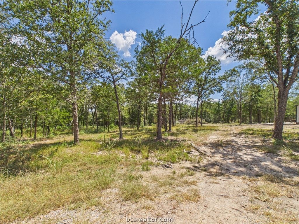 .57 Acres South Berry Ridge, Caldwell, TX 77836 — photo 3