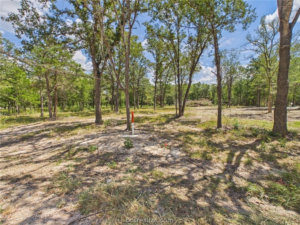 .57 Acres South Berry Ridge, Caldwell, TX 77836 — photo 4
