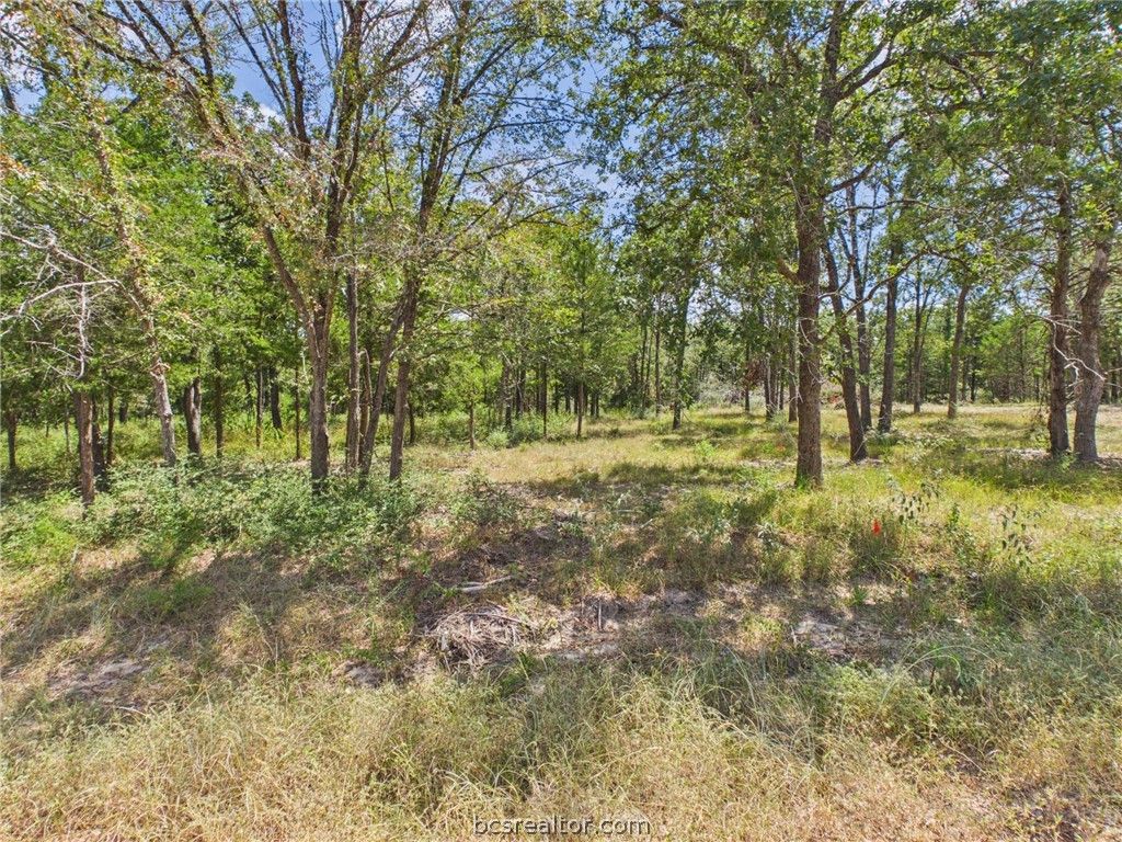 .57 Acres South Berry Ridge, Caldwell, TX 77836 — photo 5