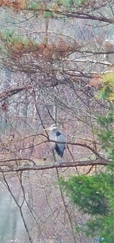 10259 Berkeley Manor Dr, Mechanicsville, VA 23116