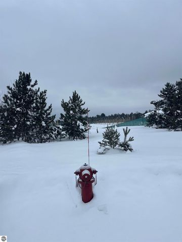 808 Kresnak Road, Mancelona, MI 49659