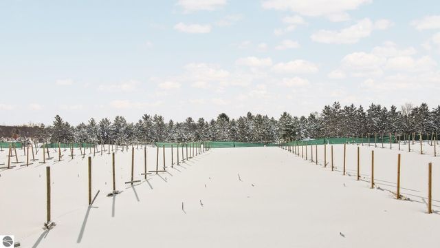 808 Kresnak Road, Mancelona, MI 49659