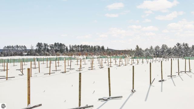 808 Kresnak Road, Mancelona, MI 49659