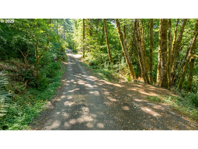 9920 Sw GILBERT CREEK Rd, Willamina, OR 97396