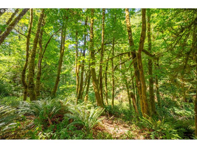 9920 Sw GILBERT CREEK Rd, Willamina, OR 97396