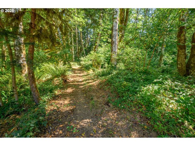 9920 Sw GILBERT CREEK Rd, Willamina, OR 97396