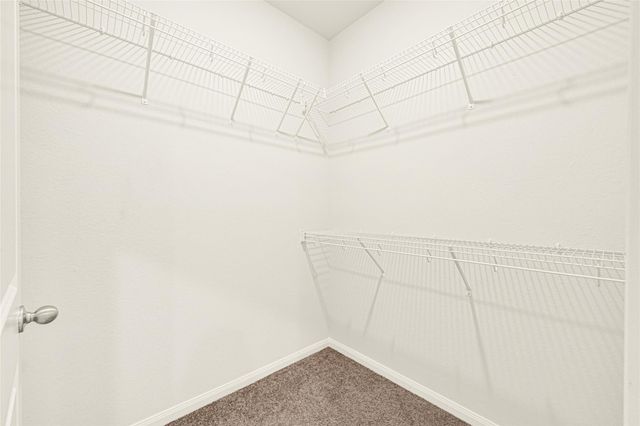 8036 Alpine Bearberry Drive, Houston, TX 77016