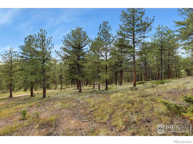 357 Big John Road, Lyons, CO 80540