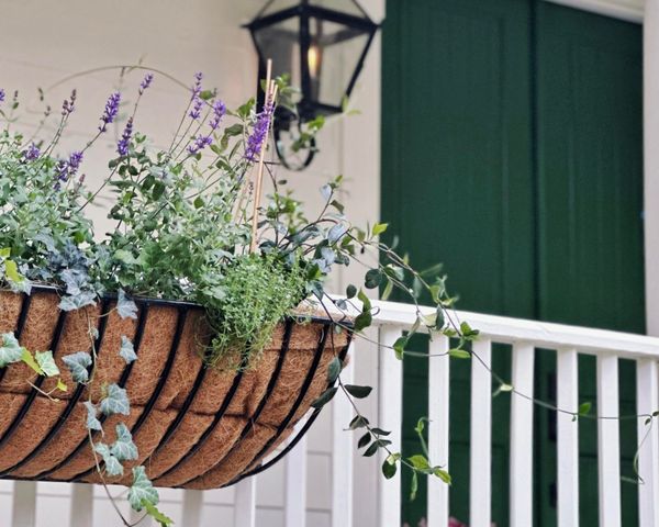 2431 Settlers Street, Charleston, SC 29492