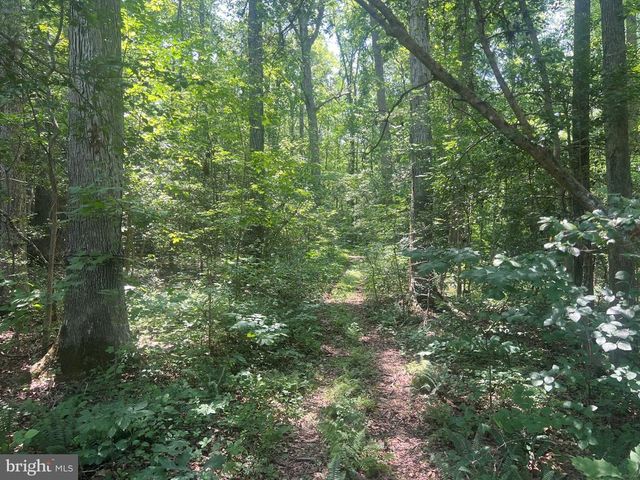 5517 FOREST VIEW DR, Partlow, VA 22534