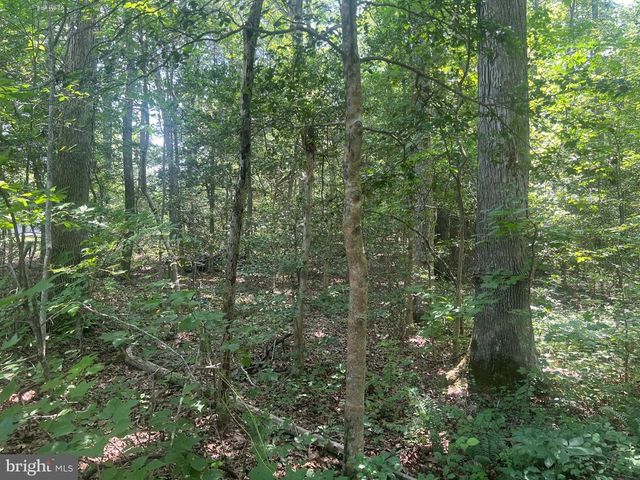5517 FOREST VIEW DR, Partlow, VA 22534
