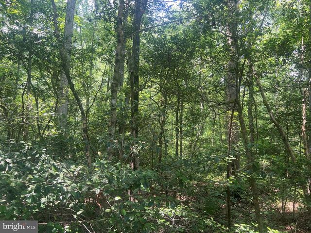 5517 FOREST VIEW DR, Partlow, VA 22534