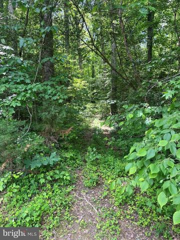 5517 FOREST VIEW DR, Partlow, VA 22534