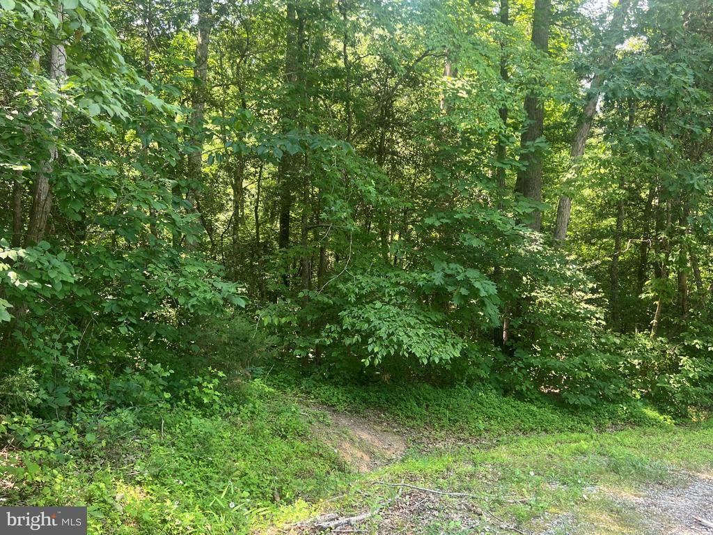 5517 FOREST VIEW DR, Partlow, VA 22534