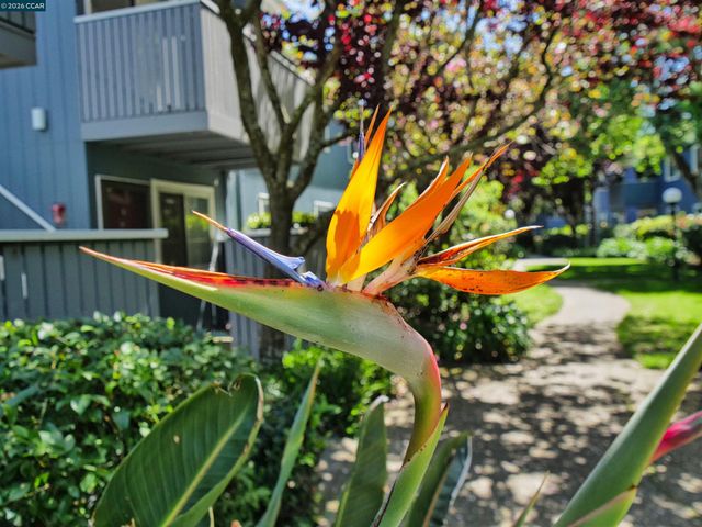 405 Piccadilly Place 24, San Bruno, CA 94066