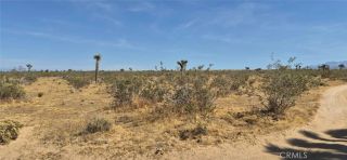 1 La Mesa, Phelan, CA 92371