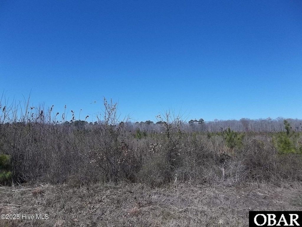 Image 1 of property listing at TBD Boat Ramp Road Lot #4, Hertford, NC 27944