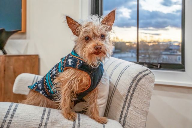 34 Vinton Street PH4, Boston, MA 02127