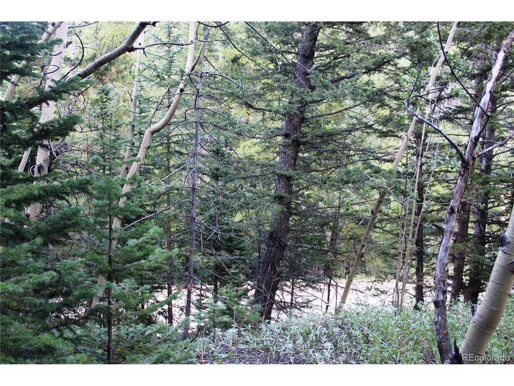 5340 FS 718.1, Black Hawk, CO 80422