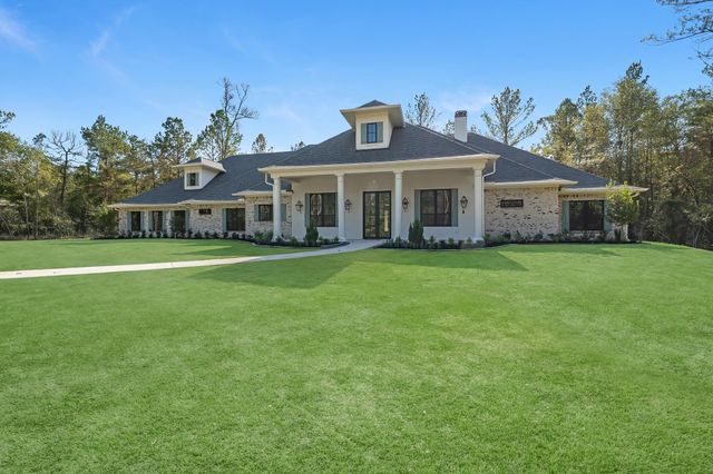 26041 Crown Ranch Boulevard, Montgomery, TX 77316