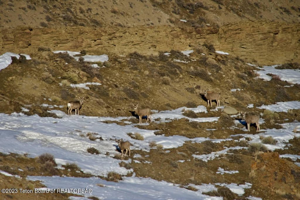 475 COUNTY RD 324, Sinclair, WY 82334 photo 33