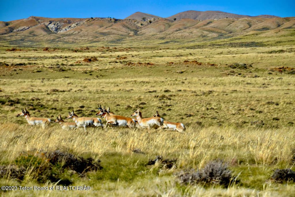 475 COUNTY RD 324, Sinclair, WY 82334 photo 6