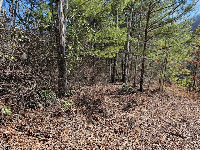 51 Kudzu Creek Trail, Murphy, NC 28906
