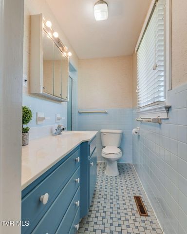 125 Meadow Wood Drive, Bristol, TN 37620